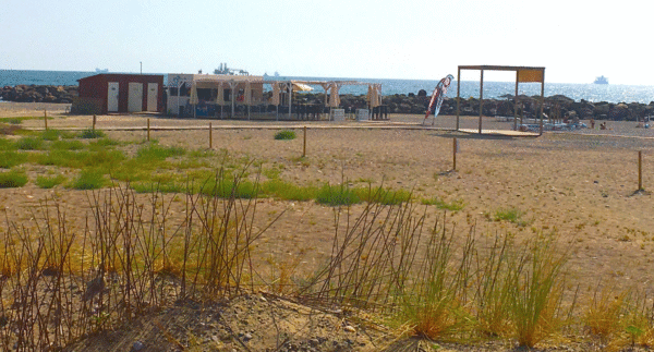 Chalet Los Olmos (PLAYA ALMASSORA) - Imagen 19