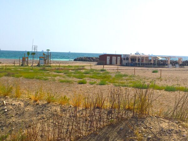 Chalet Los Olmos (PLAYA ALMASSORA) - Imagen 6